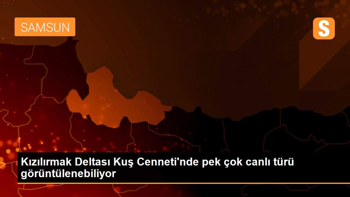 Kızılırmak Deltası Kuş Cenneti\'nde pek çok canlı türü görüntülenebiliyor