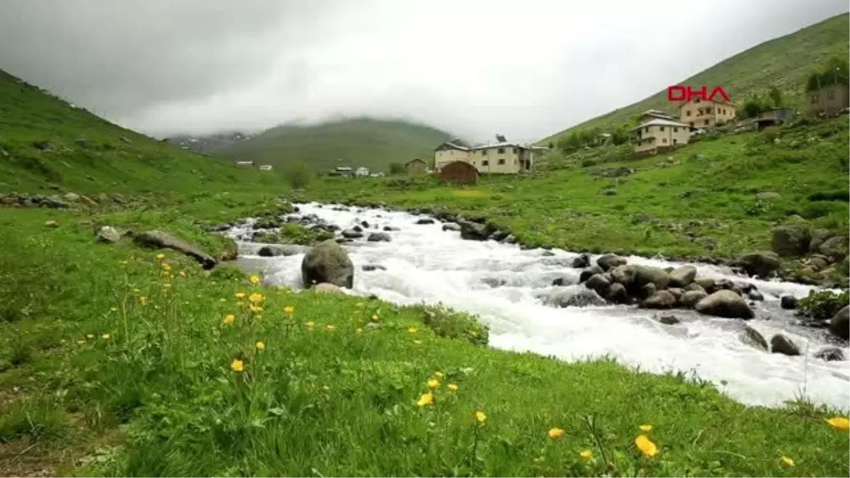 RİZE Salgın sonrası termal sulara ilgi arttı