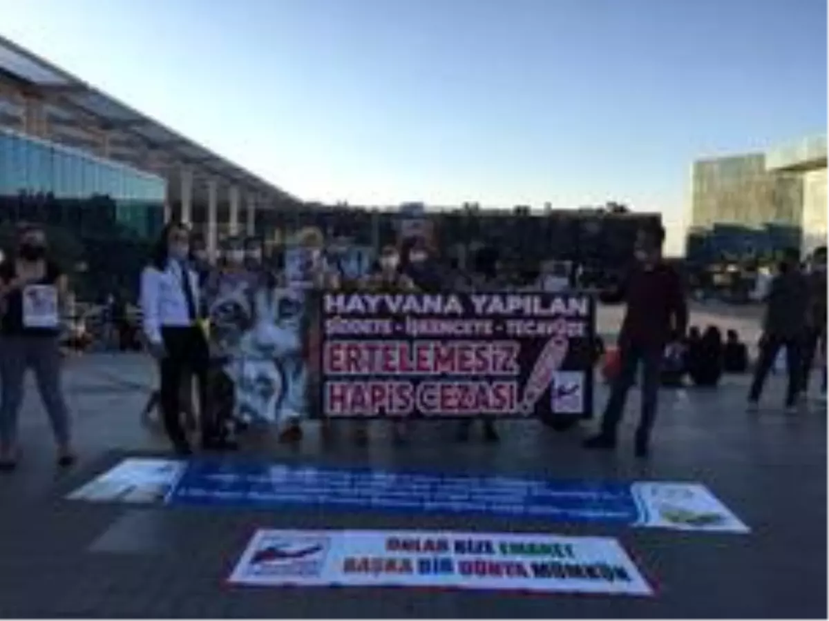 Bursalı hayvanseverlerden çağrı