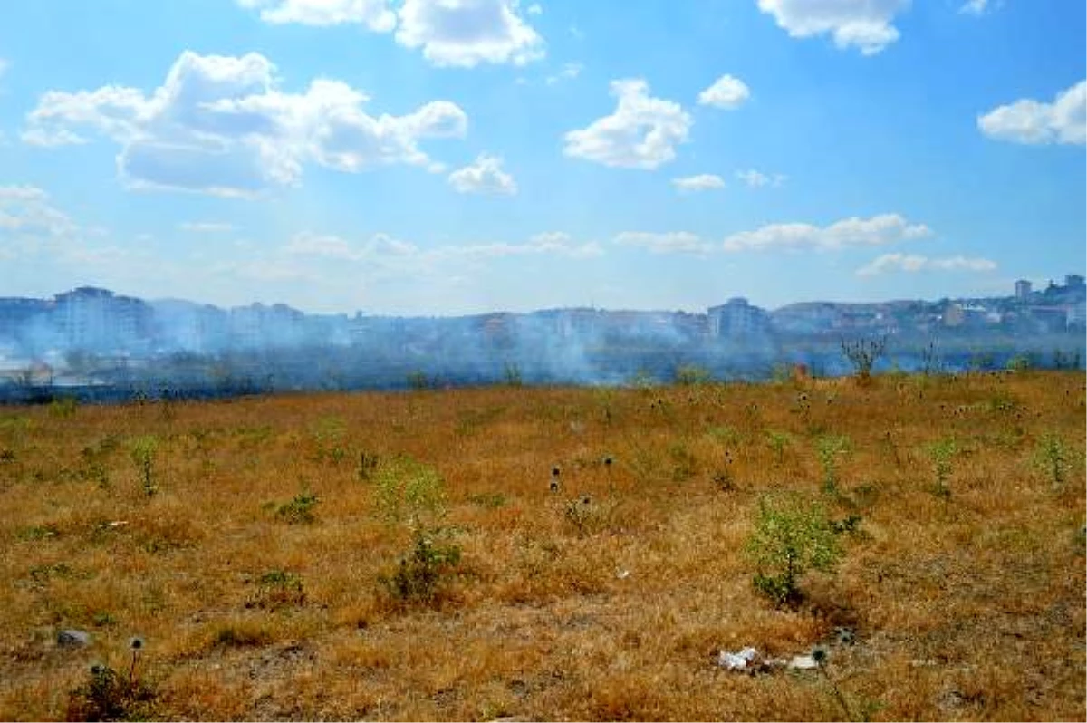 Elazığ\'da anız yangını, büyümeden söndürüldü