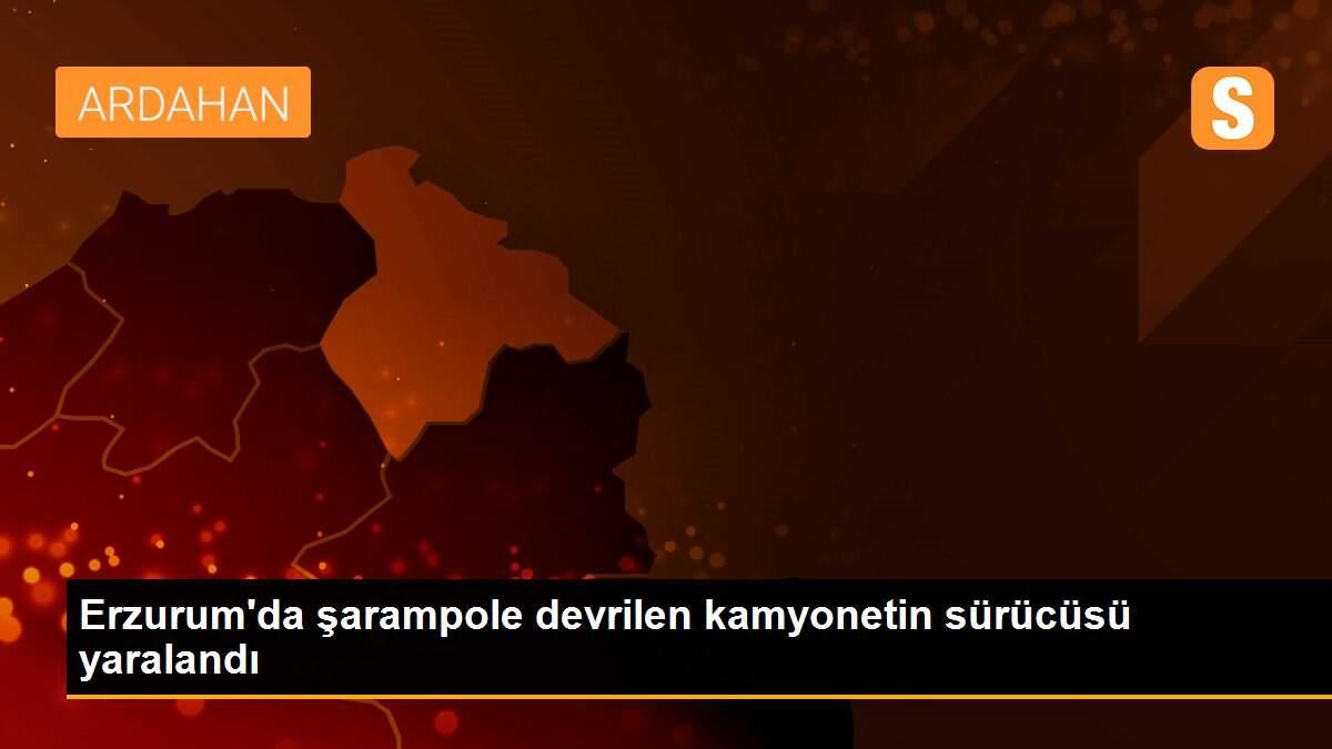 Erzurum\'da şarampole devrilen kamyonetin sürücüsü yaralandı