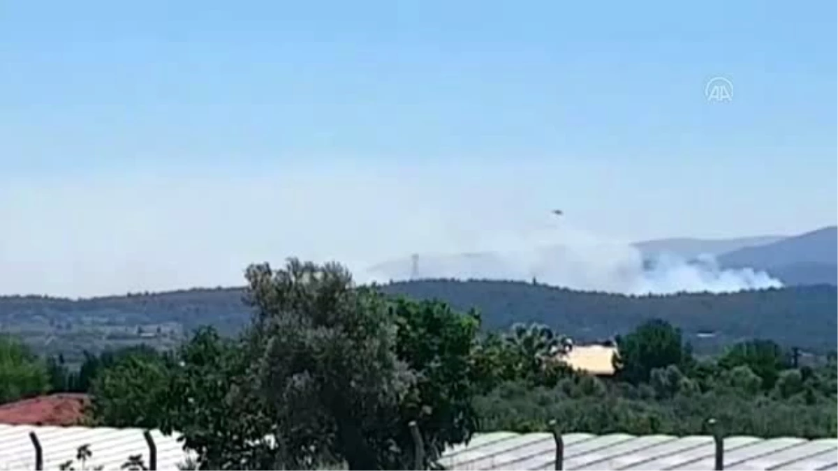 İzmir\'in Urla ilçesinde orman yangını çıktı