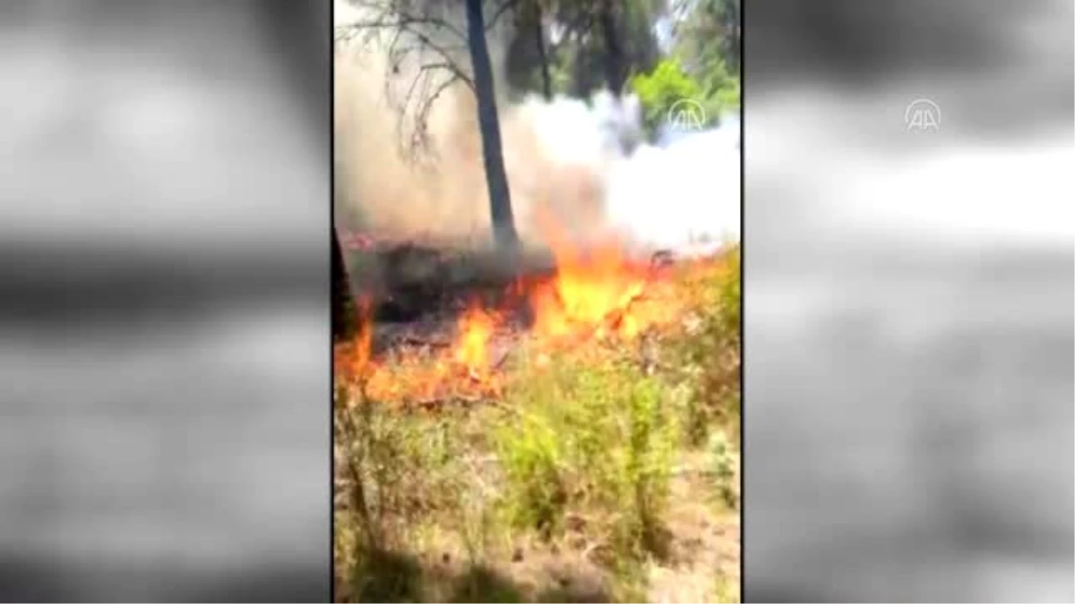 İzmir\'in Urla ilçesinde orman yangını çıktı (2)
