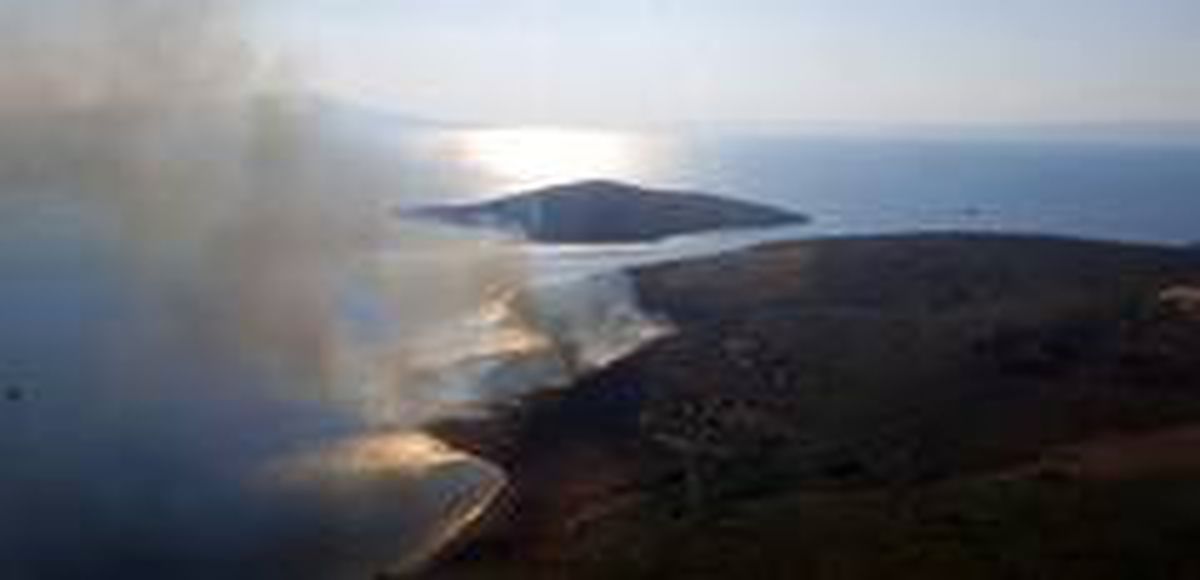 Maden Adası\'nda örtü yangını helikopter ile söndürüldü
