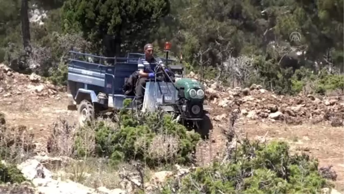 Mağaralarda olgunlaşmaya bırakılan obruk peynirinin "lezzet yolculuğu" başladı