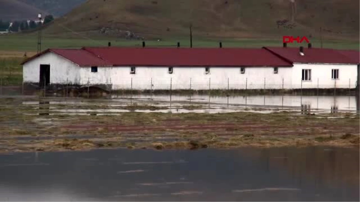 Muş\'ta ev iş yerleri sular altında kaldı, tarım arazileri zarar gördü
