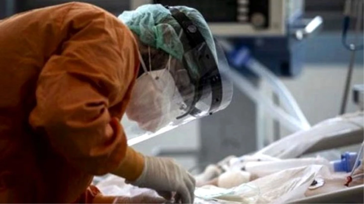 Son Dakika: Türkiye\'de 1 Temmuz günü koronavirüs nedeniyle 19 kişi hayatını kaybetti, 1192 yeni vaka tespit edildi