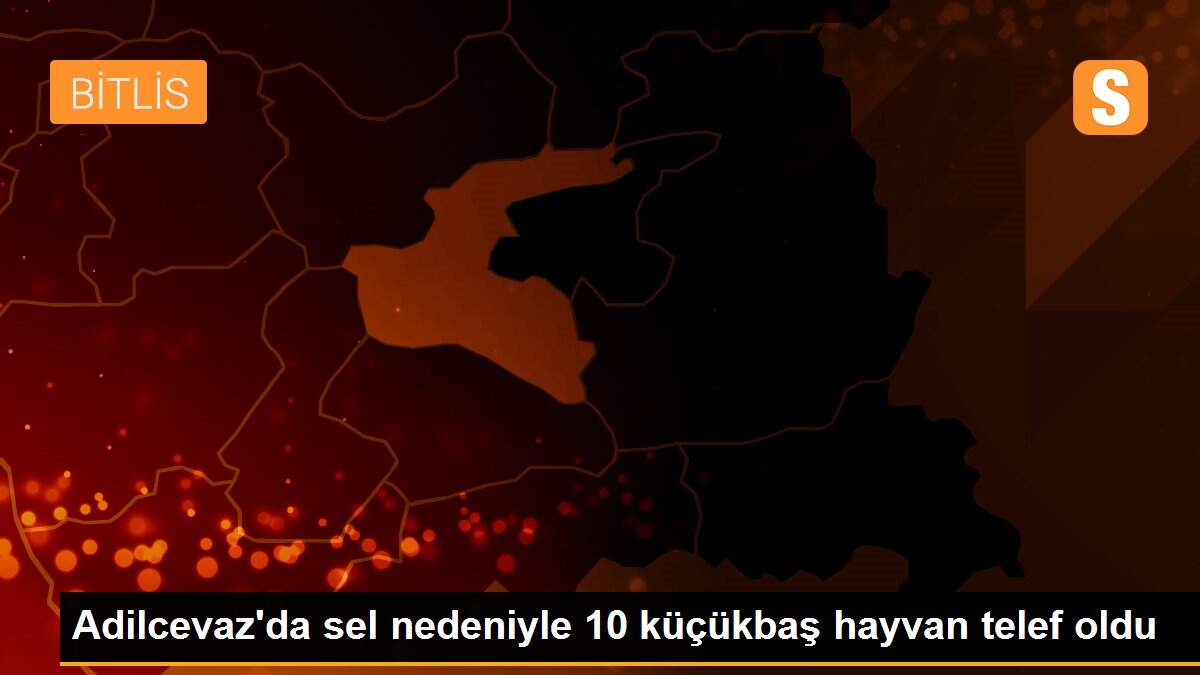 Adilcevaz\'da sel nedeniyle 10 küçükbaş hayvan telef oldu