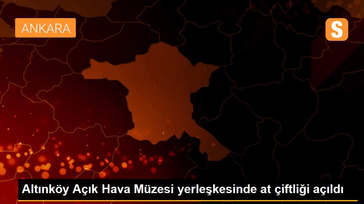 Altınköy Açık Hava Müzesi yerleşkesinde at çiftliği açıldı