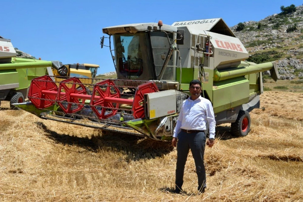 Kızılkaya Belediye Başkanı, belediyeye ait tarlaya ektiği buğdayla bütçeye katkı sağladı