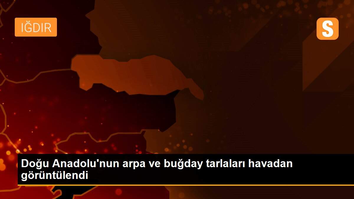 Doğu Anadolu\'nun arpa ve buğday tarlaları havadan görüntülendi