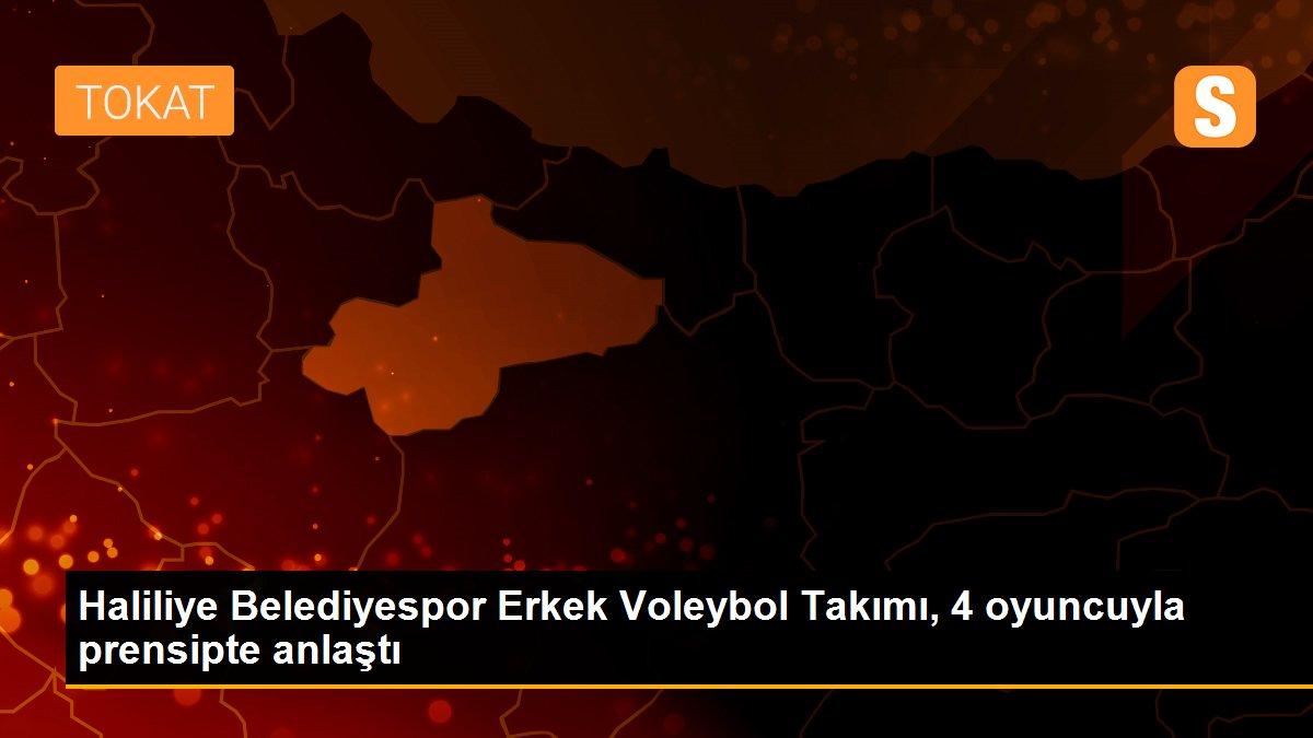 Haliliye Belediyespor Erkek Voleybol Takımı, 4 oyuncuyla prensipte anlaştı