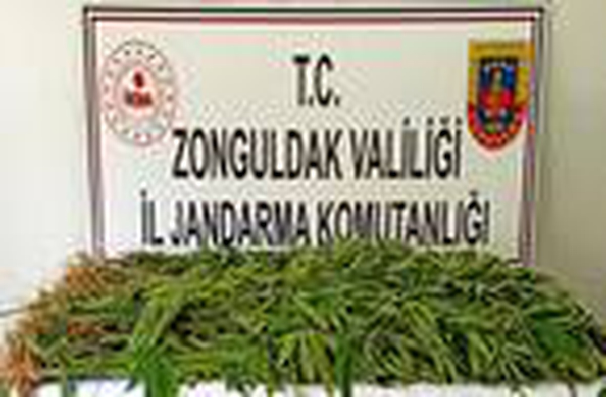 Jandarmanın 31 operasyonunda 8 şüpheli tutuklandı