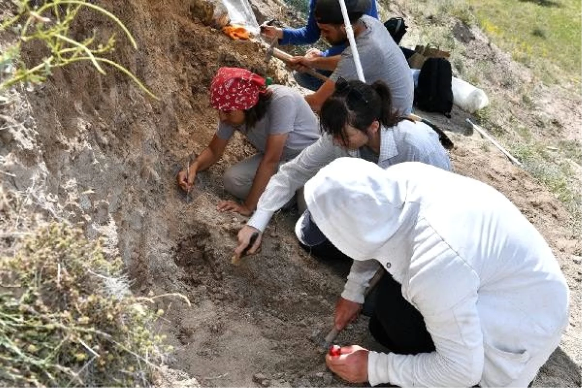 Kayseri\'de 7,5 milyon yıllık fosillerin bulunduğu alanda yeni kazı çalışması