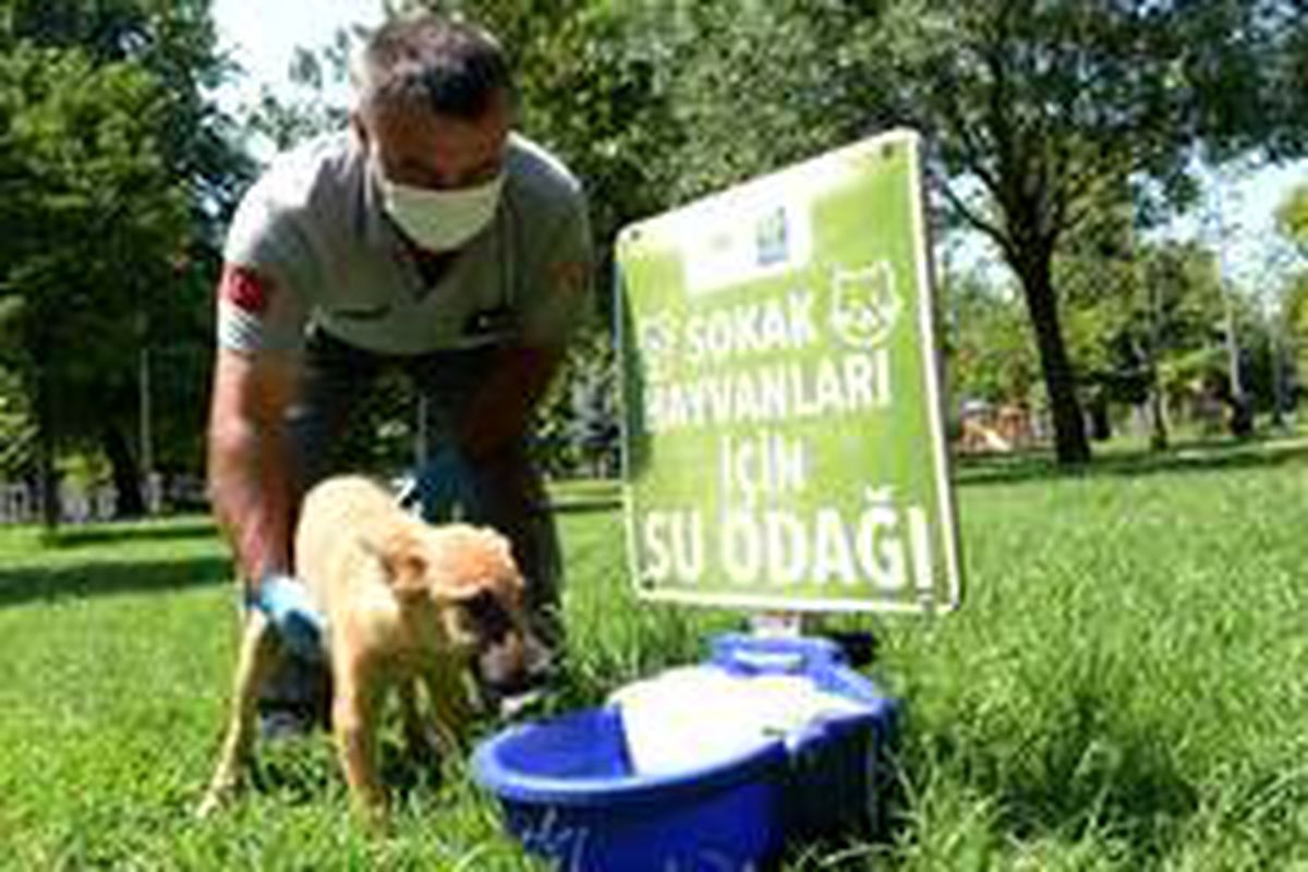Osmangazi\'den can dostlara yardım eli