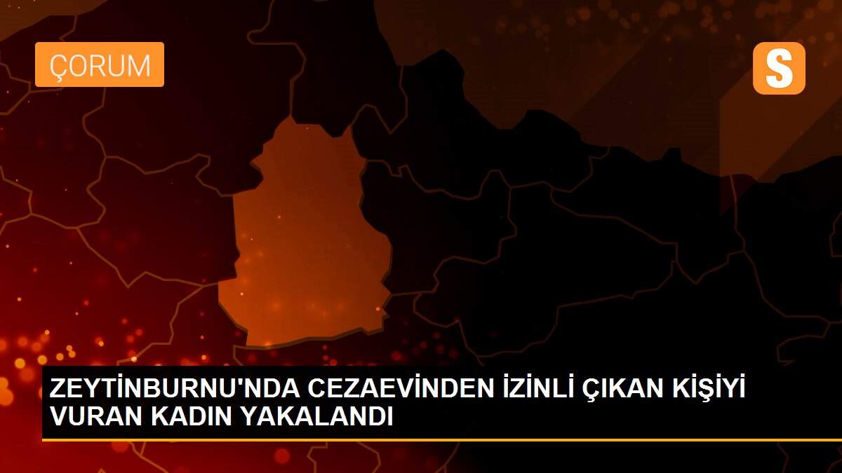 ZEYTİNBURNU\'NDA CEZAEVİNDEN İZİNLİ ÇIKAN KİŞİYİ VURAN KADIN YAKALANDI