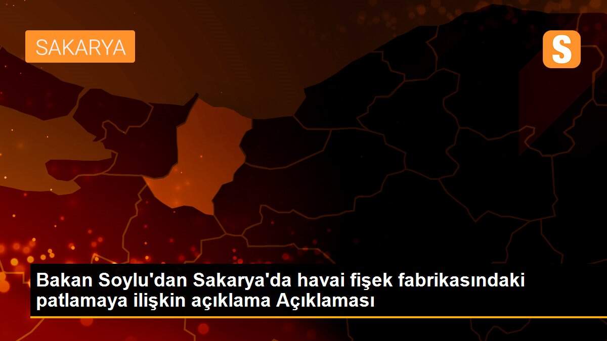 Bakan Soylu\'dan Sakarya\'da havai fişek fabrikasındaki patlamaya ilişkin açıklama Açıklaması