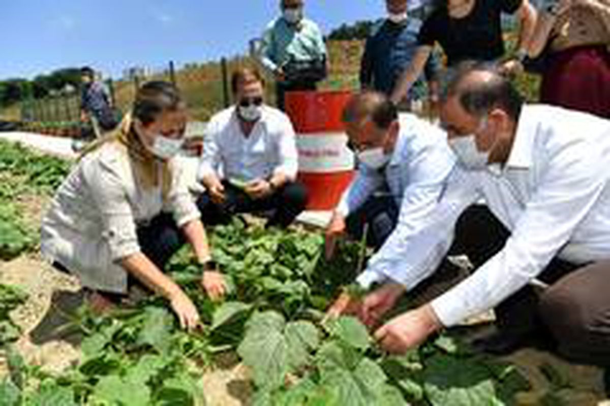 Başkan Çalık Yaşam Bahçesi\'nin mahsullerini topladı