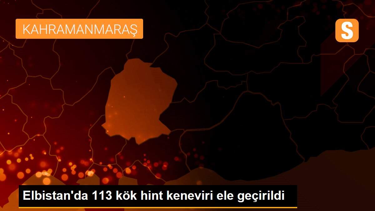 Elbistan\'da 113 kök hint keneviri ele geçirildi