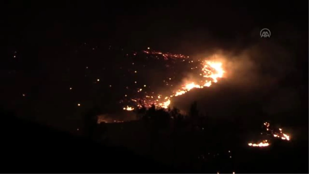 İzmir\'de çıkan orman yangınına müdahale ediliyor