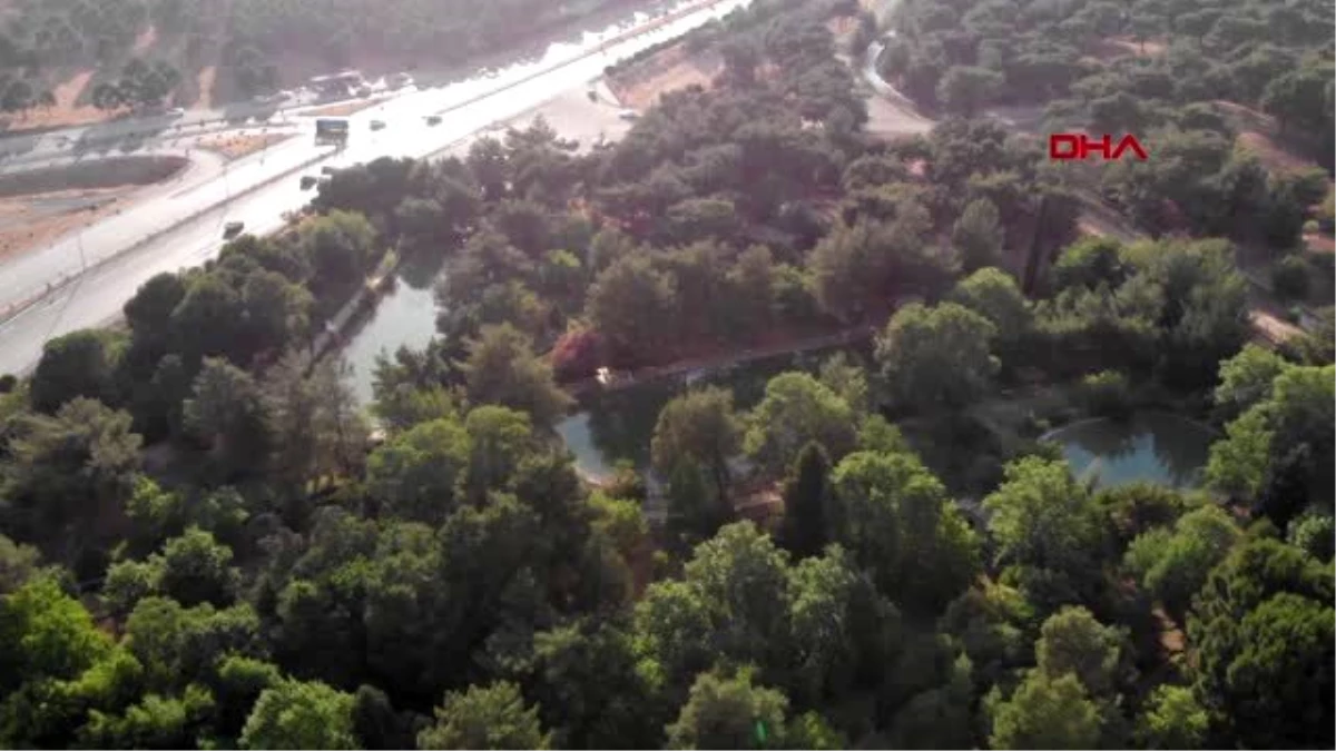 Son dakika haberi... KAHRAMANMARAŞ Yasak kalktı, gelin-damatlar Botanik Bahçesi\'ne akın etti