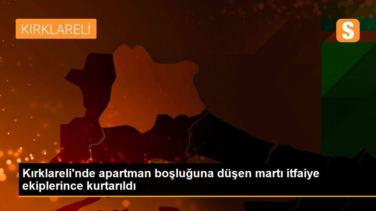 Kırklareli\'nde apartman boşluğuna düşen martı itfaiye ekiplerince kurtarıldı