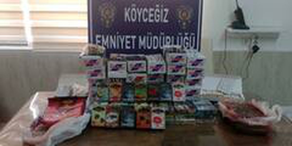 Köyceğiz\'de kaçak tütün operasyonu
