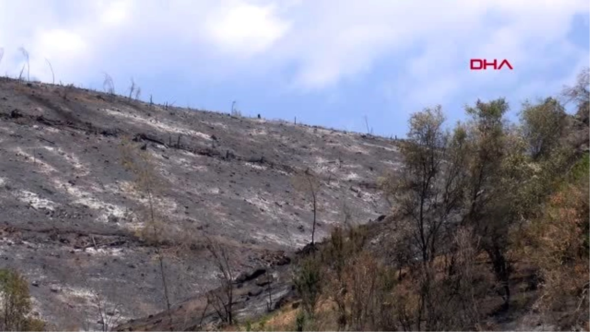 Menderes\'teki yangının tahribatı, havadan görüntülendi