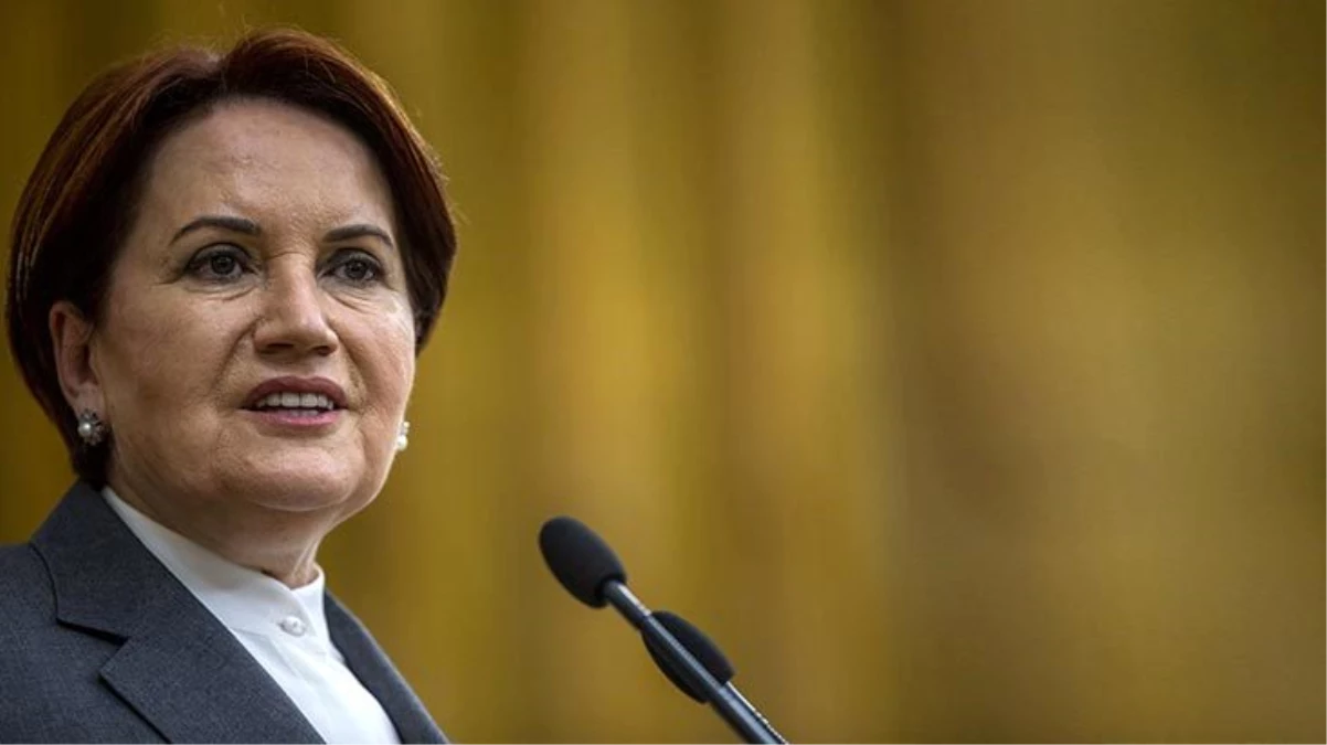 Meral Akşener, Cumhurbaşkanı\'nın masasındaki erken seçim tarihini paylaştı