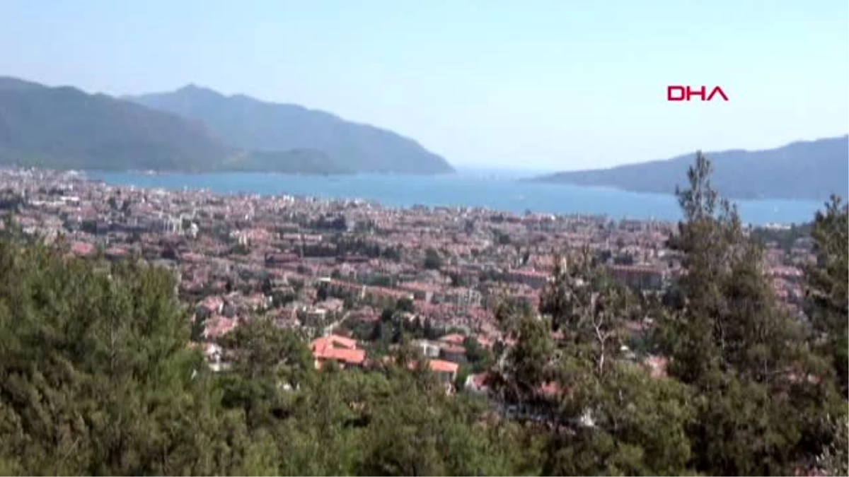 MUĞLA Marmaris\'te ilçe merkezine inen yaban domuzları için \'domuz timi\' kurulsun çağrısı