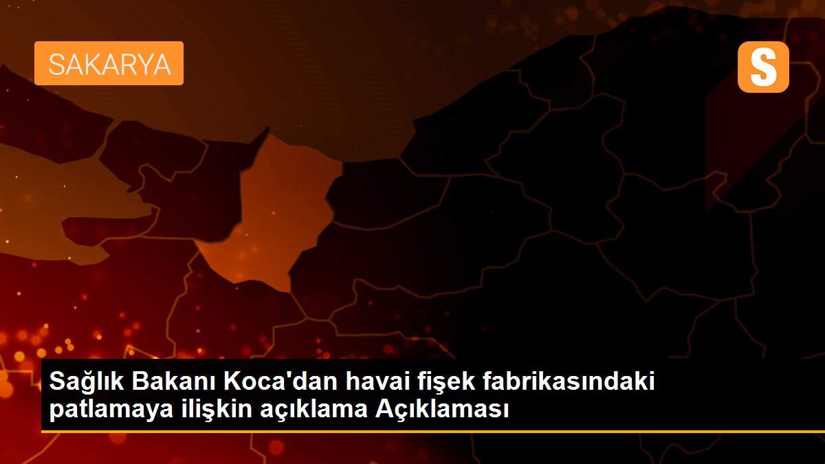 Sağlık Bakanı Koca\'dan havai fişek fabrikasındaki patlamaya ilişkin açıklama Açıklaması