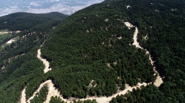 Koronavirüs salgını döneminde Uludağ'da 1500 ağaç kesildi, doğaseverler tepkili