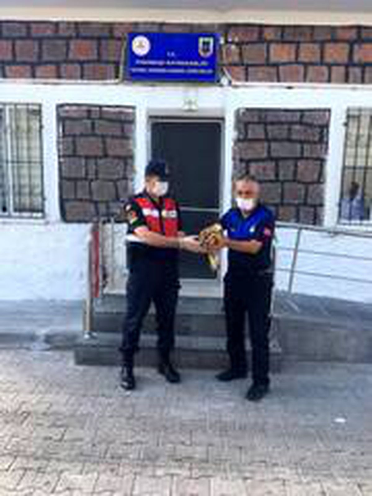 Yaralı şahine jandarma şefkati