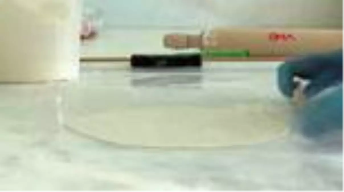 Kayseri mantısı sofraları süslüyor