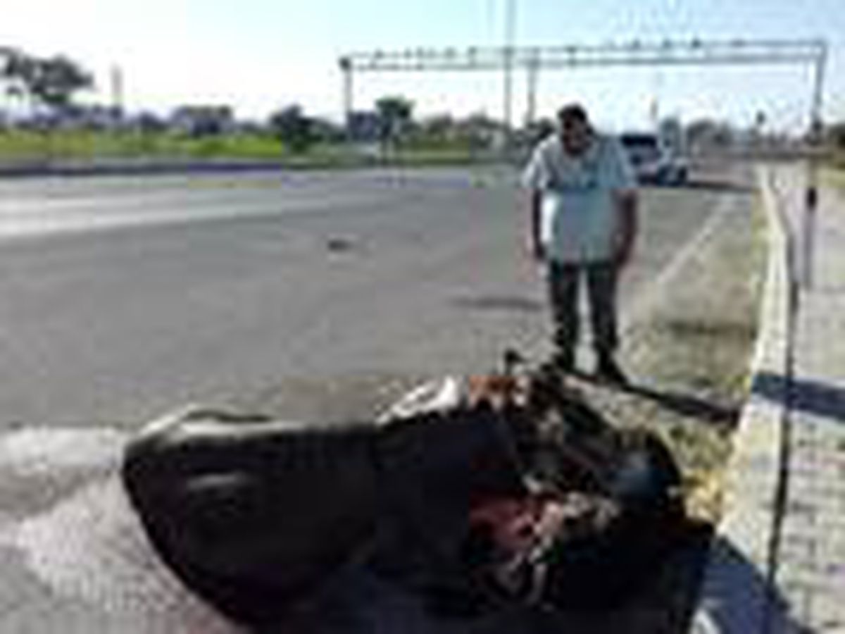 Son dakika haberi... Eşeği ayağına dolanan ipten kurtardı, doğum yaparken başında bekledi