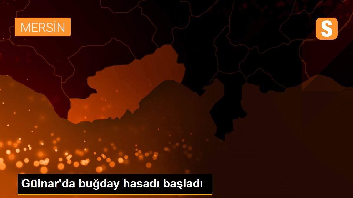 Gülnar\'da buğday hasadı başladı