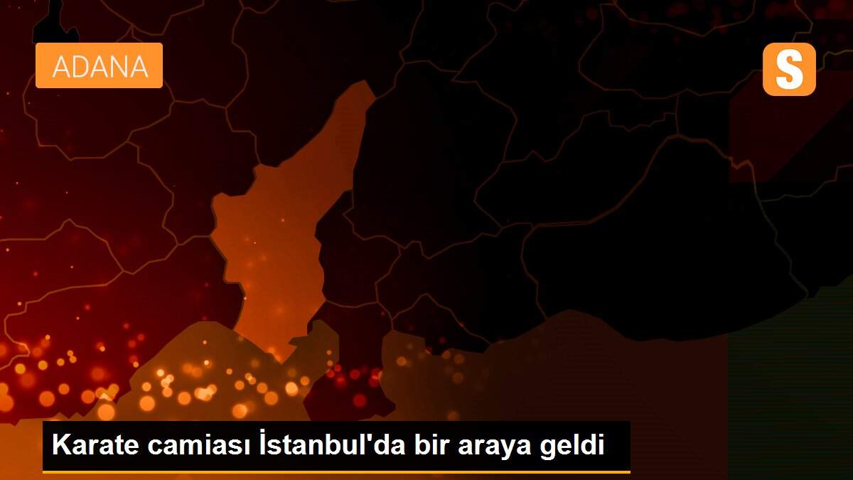 Karate camiası İstanbul\'da bir araya geldi
