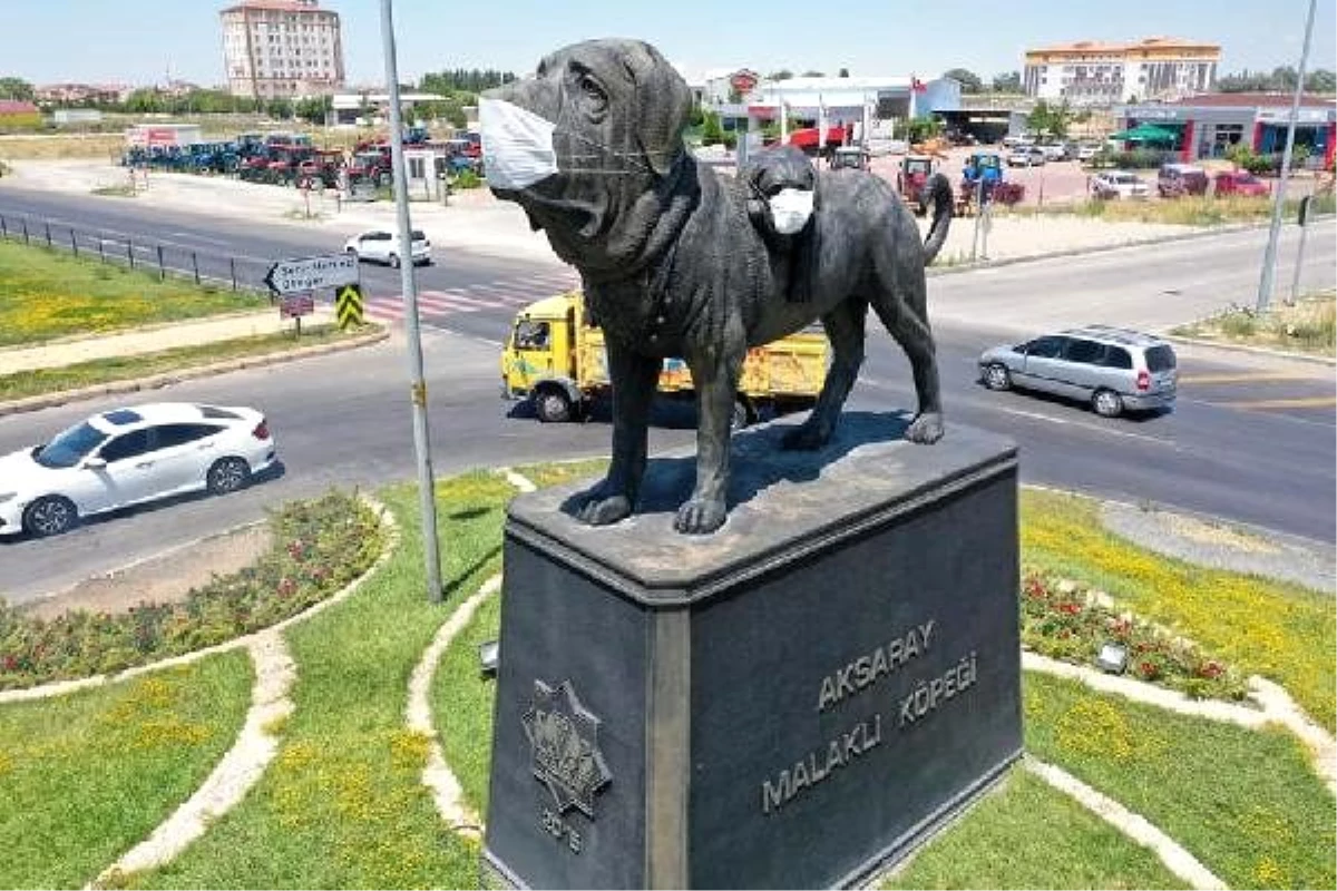 Şehrin simgesi \'Aksaray Malaklısı\' köpeği heykeline maske takıldı