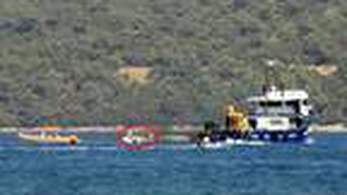 Bodrum\'da kaptansız bot korkuttu