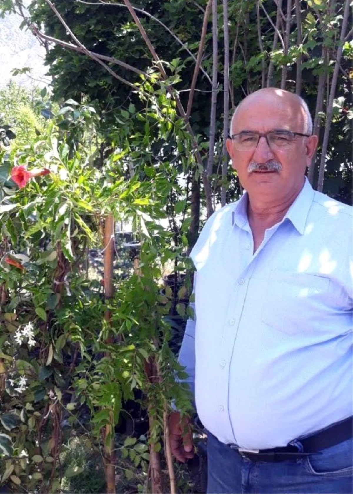 Çevre Araştırmacısı Yaşar: "Tortum şelalesi ve çevresinde 25 odunsu tür yaşıyor"