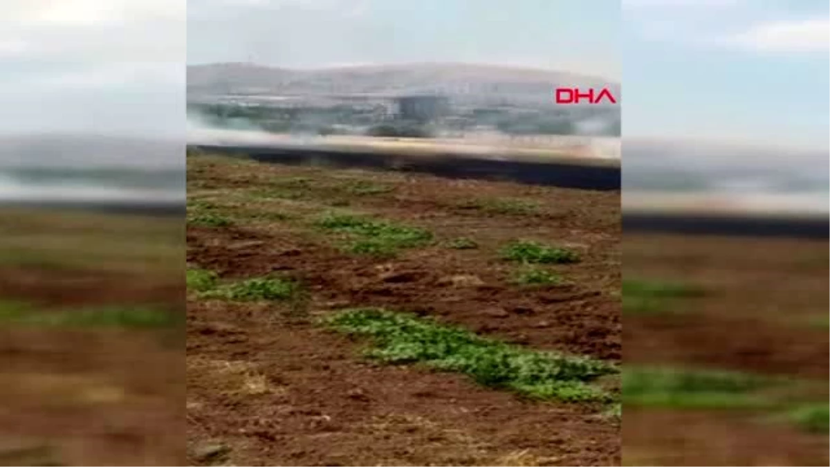 Elazığ\'da 15 dönüm ekili buğday, yangında küle döndü