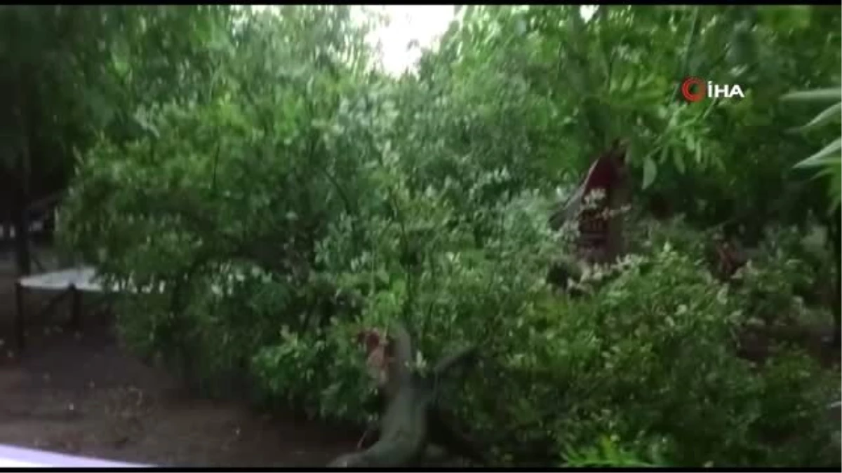 Fırtına Alaşehir\'de ağaçları devirdi, çatıları uçurdu