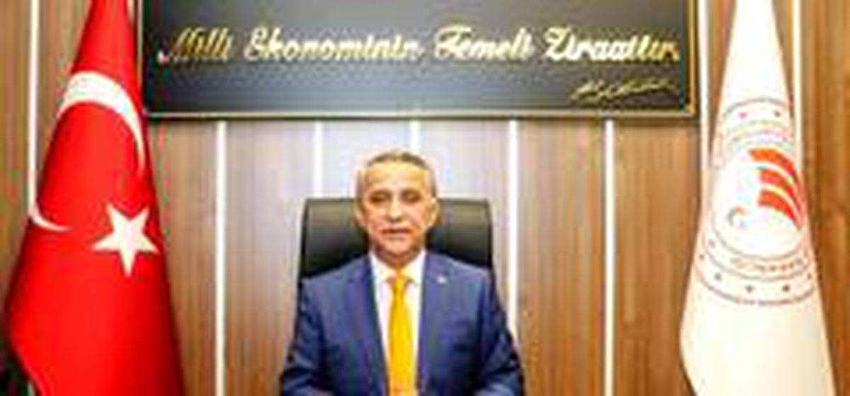 Samsun\'da çeltik üretimi artıyor