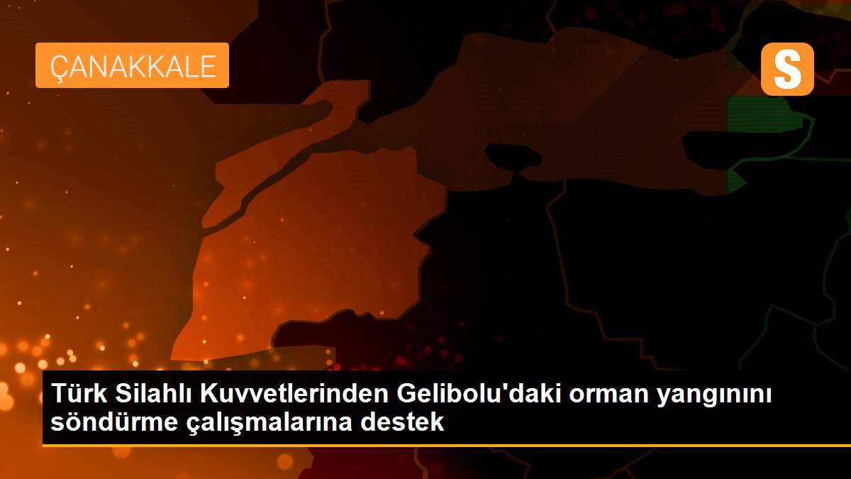 Türk Silahlı Kuvvetlerinden Gelibolu\'daki orman yangınını söndürme çalışmalarına destek