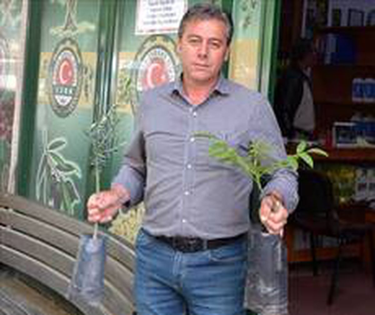 Üreticilere "Zeytin Kelebeği" uyarısı