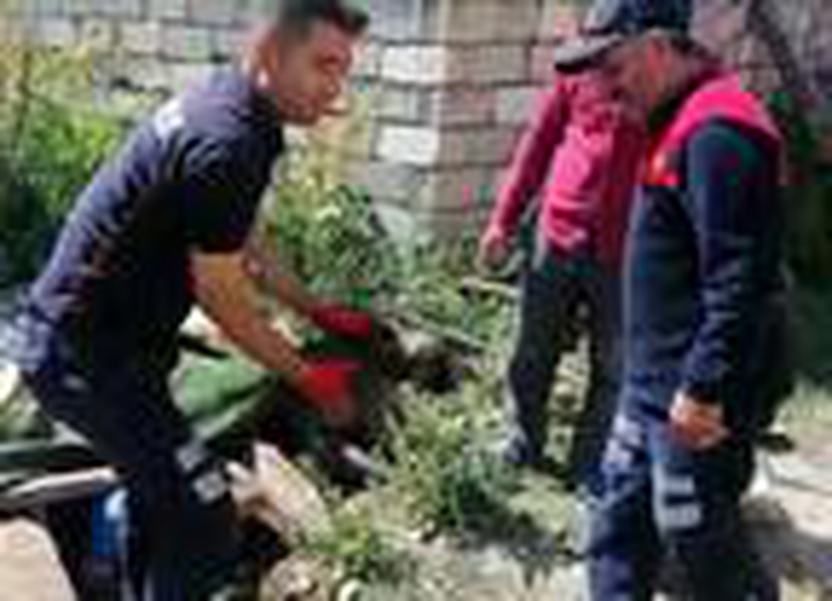 Ağrı\'da su kuyusuna düşen yavru köpeği itfaiye ekipleri kurtardı