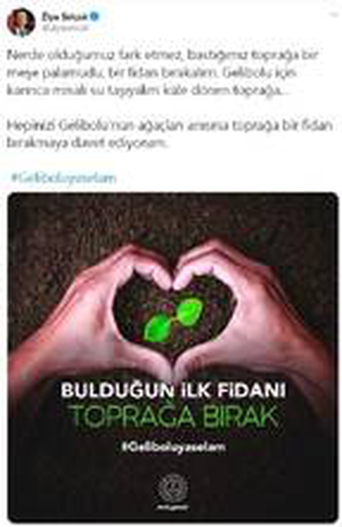 Bakan Selçuk\'tan Gelibolu anısına fidan daveti