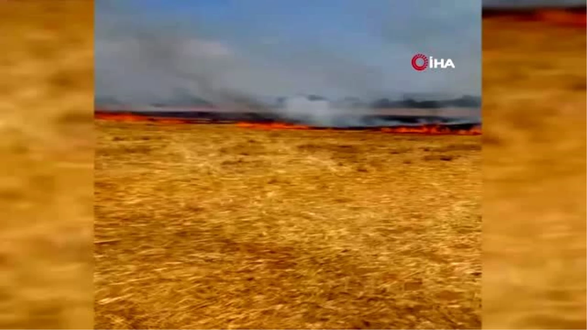 Çanakkale il sınırında korkutan yangın