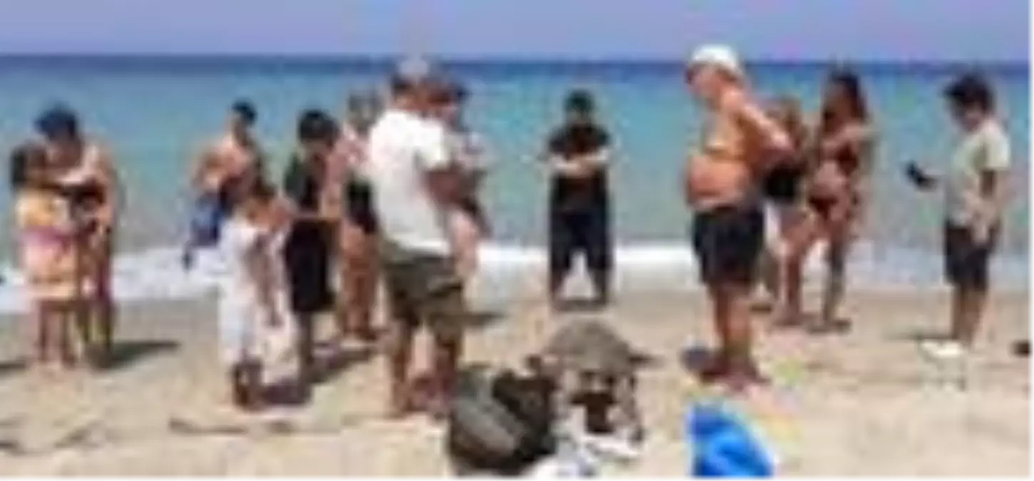 Didim ve Kuşadası\'nda 2 ölü deniz kaplumbağası bulundu