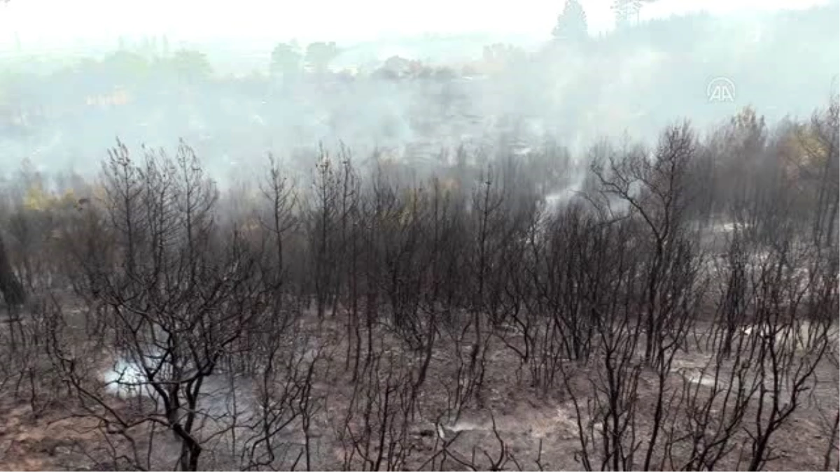 Gelibolu Yarımadası\'ndaki orman yangınına havadan müdahale yeniden başladı (2)